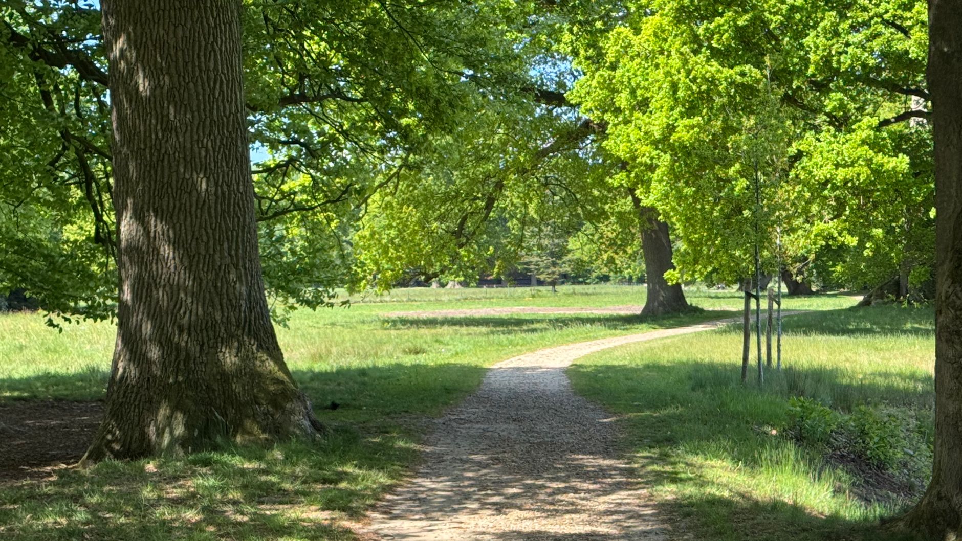 Lutte Contre Les Nuisibles à Le Blanc-Mesnil